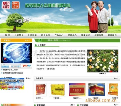 【企業(yè)網(wǎng)站建設,找孝感網(wǎng)絡公司,大鵬網(wǎng)絡】價格,廠家,圖片,互聯(lián)網(wǎng)服務,湖北孝感大鵬網(wǎng)絡科技-