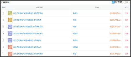 湖北消金合作方為客戶擔保引發關注，法院判決書揭示最高收取2%服務費