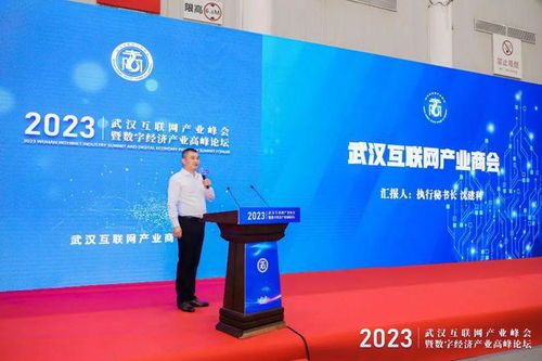 武漢互聯(lián)網產業(yè)峰會暨數(shù)字經濟產業(yè)高峰論壇圓滿舉行，引領企業(yè)網站創(chuàng)新與變革
