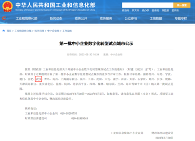 武漢市人民政府門戶網(wǎng)站與武漢企業(yè)網(wǎng)站 協(xié)同發(fā)展，共創(chuàng)城市新未來